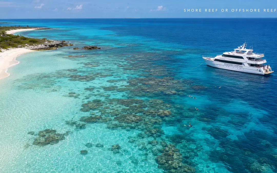 Best Snorkeling Spots in Providenciales