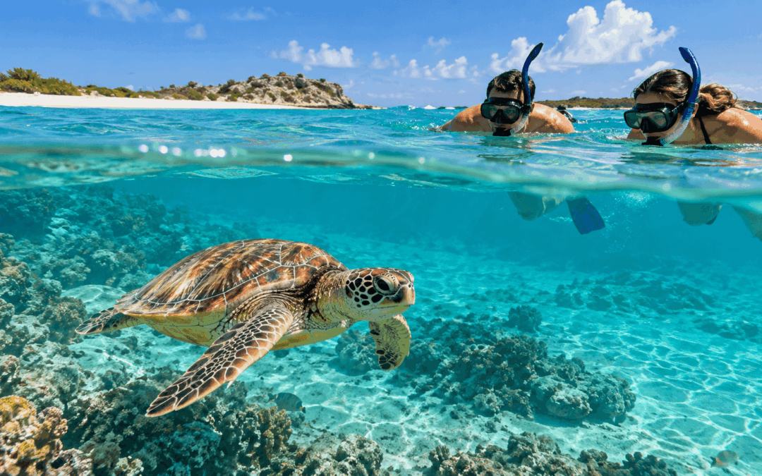 Snorkeling in Turks and Caicos: A Complete Guide to the Reefs, Cays and Sandbars